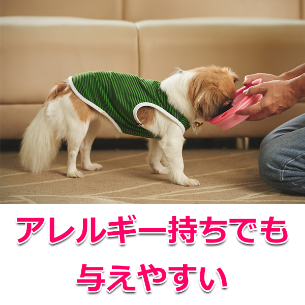 アレルギーのある子も安心