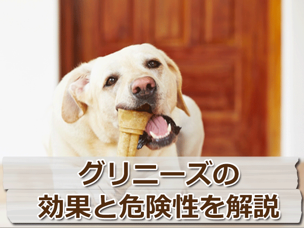 犬の歯磨きガム「グリニーズ」の効果と危険性を徹底解説！
