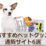 犬用品を買う時に！おすすめペットグッズ 通販サイト6選