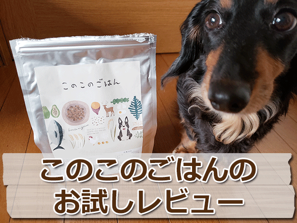 「このこのごはん」をお試しレビュー！愛犬に与えて本音で評価